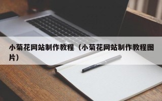 南通小菊花网站制作教程（小菊花网站制作教程图片）