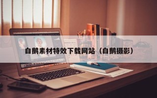 南通白鹅素材特效下载网站（白鹅摄影）